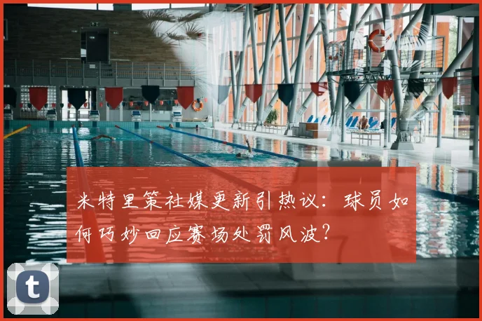 米特里策社媒更新引热议:球员如何巧妙回应赛场处罚风波?