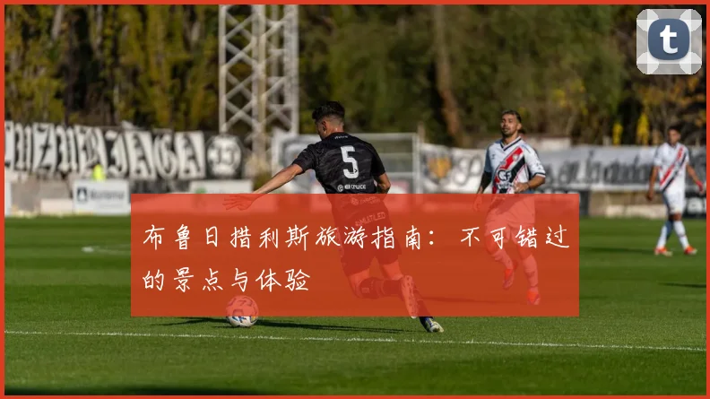 布鲁日措利斯旅游指南：不可错过的景点与体验