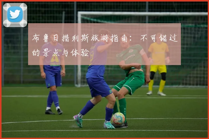 布鲁日措利斯旅游指南：不可错过的景点与体验