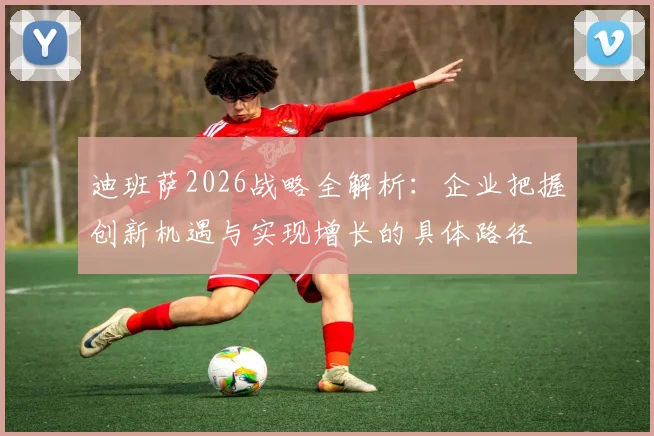 迪班萨2026战略全解析:企业把握创新机遇与实现增长的具体路径